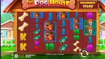 The Dog House