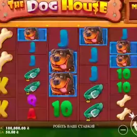 The Dog House