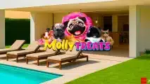 Molly Treats